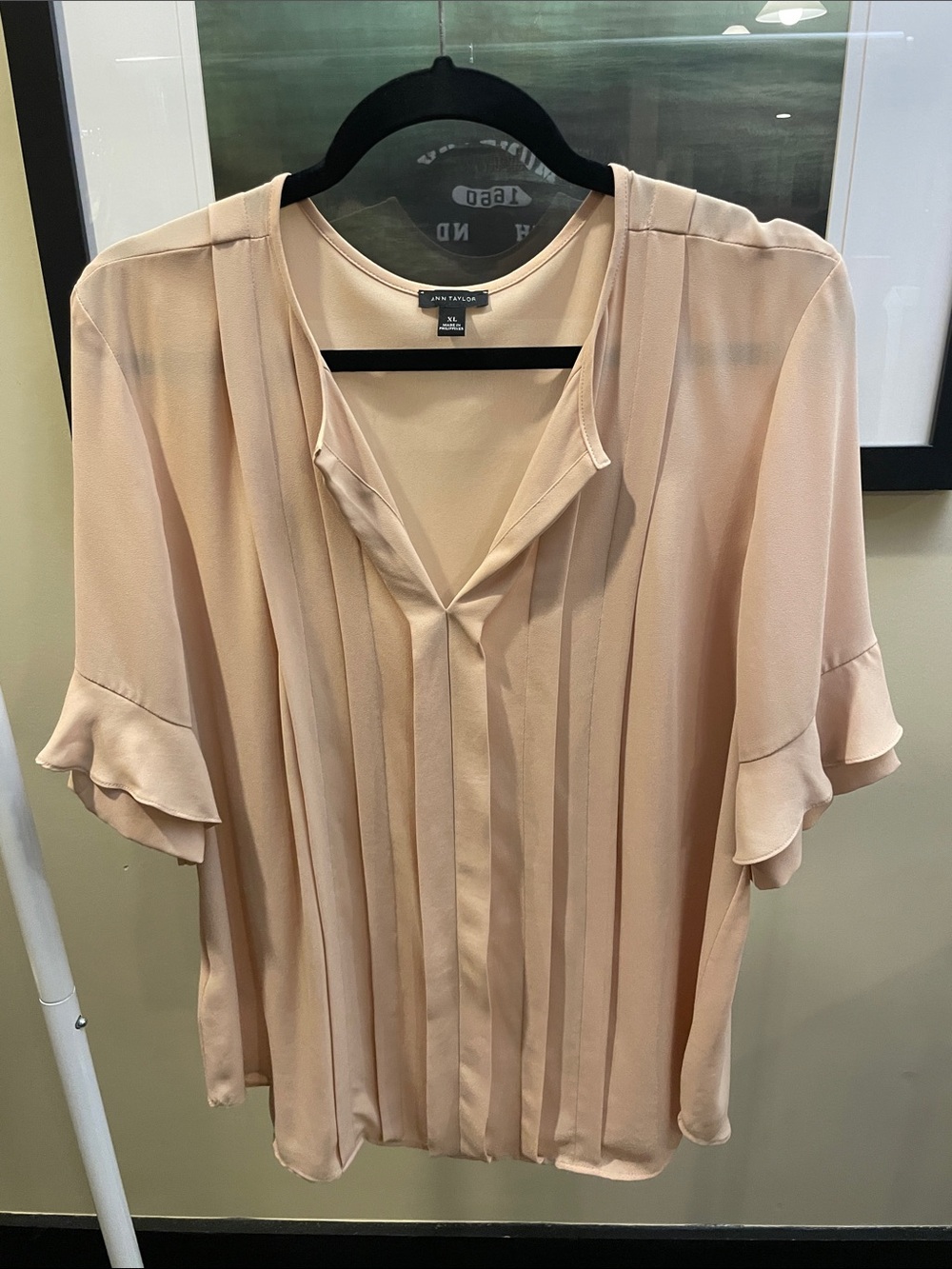 Ann Taylor XL. Blush Pleated V-Neck Flutter Sleeve Blouse